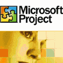 Treinamento MS Project